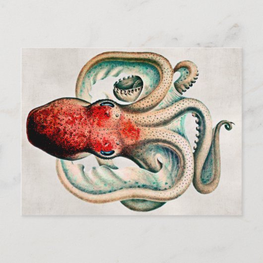Vintage Oktopus Postkarte (Vorderseite)