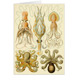 Vintage-Oktopus-Tintenfisch Gamochonia von Ernst H