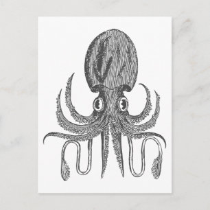 Vintage-Oktopus-Zeichnung in Schwarz-Weiß Postkarte