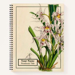 Vintage-Oncidium-Naevium-Orchideen-Notizbuch Notizblock