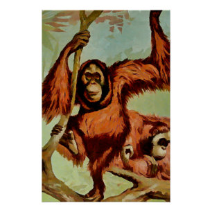 Vintage Orang-Utans auf einem Baum - Poster