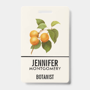 Vintage Orange Apricots Aquarell Zeichnend Ausweis