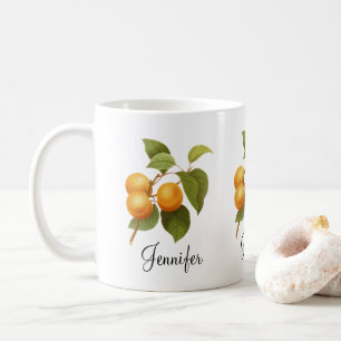 Vintage Orange Apricots Aquarell Zeichnend Kaffeetasse