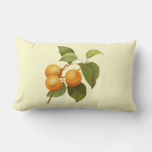 Vintage Orange Apricots Aquarell Zeichnend Lendenkissen