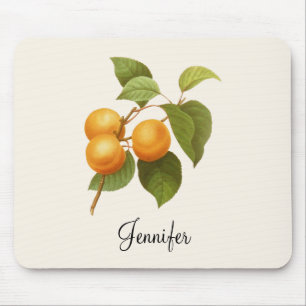 Vintage Orange Apricots Aquarell Zeichnend Mousepad
