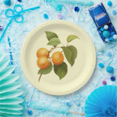 Vintage Orange Apricots Aquarell Zeichnend Pappteller (Party)