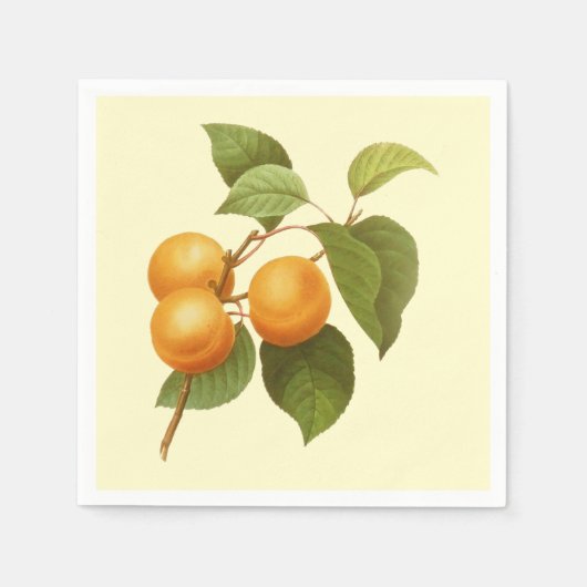 Vintage Orange Apricots Aquarell Zeichnend Serviette (Vorderseite)