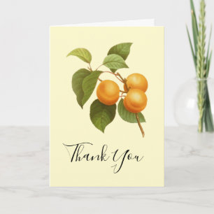 Vintage Orange Aprikosen Aquarell Dankeschön Karte