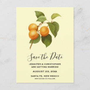 Vintage Orange Aprikosen Aquarell Save-the-Date Postkarte