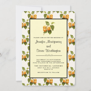 Vintage Orange Aprikosen Aquarellmuster Hochzeit Einladung