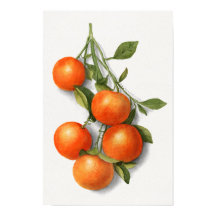 Vintage Orange Aquarelldarstellung