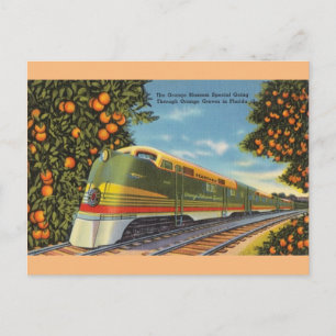 Vintage Orange Blossom Spezialzug FL Postkarte