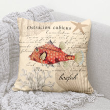 Vintage Orange-Boxfish-Illustration