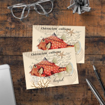 Vintage Orange Boxfish Illustration Nautic