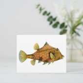 Vintage Orange Fisch Postkarte (Stehend Vorderseite)