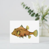 Vintage Orange Fish Postkarte (Stehend Vorderseite)