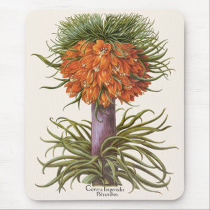 Vintage Orange Fritillaria Blumen Basilius Besler Mousepad