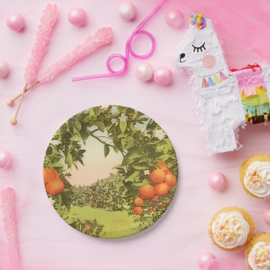 Vintage Orange Grove Pappteller (Party)