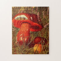 Vintage Orange Mushrooms - Boletus Luridus