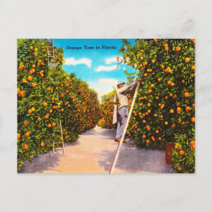 Vintage Orange Time in Florida Travel Postkarte