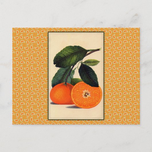 Vintage Orangefarbene Botanische Schrift Postkarte (Vorderseite)