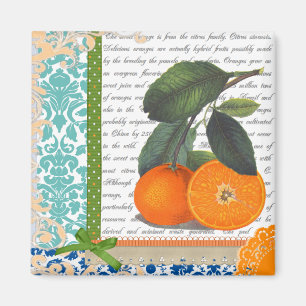 Vintage Orangen-Collage Magnet
