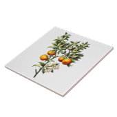 Vintage Orangen Fliese (Seite)