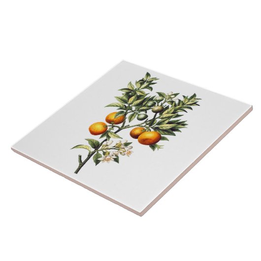 Vintage Orangen Fliese (Seite)