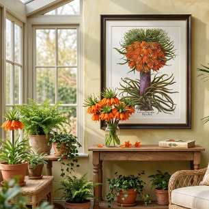 Vintage Orangen-Fritillaria-Blüten Basilius Besler Poster