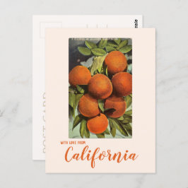 Vintage Orangen Südkalifornien Postkarte