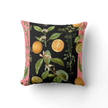 Vintage Orangen und Zitronen mit rosa Akzent