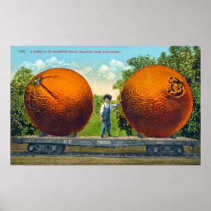 Vintage Orangen von Kalifornien Postkarte Poster