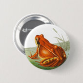 Vintage Orangenfrosch-Abbildung Button (Vorne & Hinten)