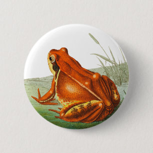 Vintage Orangenfrosch-Abbildung Button