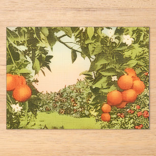 Vintage Orangenhain Acryleinladungen