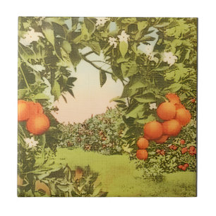 Vintage Orangenhain Fliese