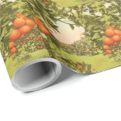 Vintage Orangenhain Geschenkpapier (Rolleneckpunkt)