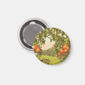 Vintage Orangenhain Magnet (Vorderseite/Rückseite)
