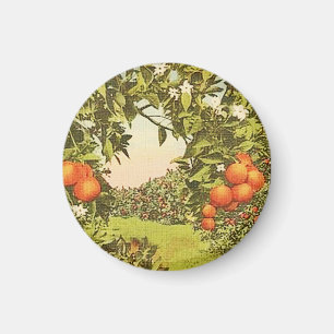 Vintage Orangenhain Magnet