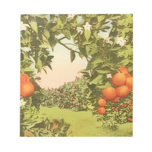 Vintage Orangenhain Notizblock