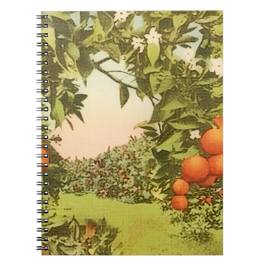 Vintage Orangenhain Notizblock (Vorderseite)