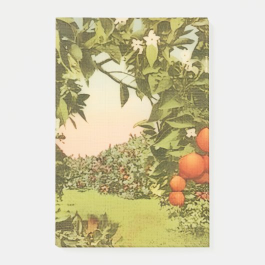 Vintage Orangenhain Post-it Klebezettel (Vorderseite)