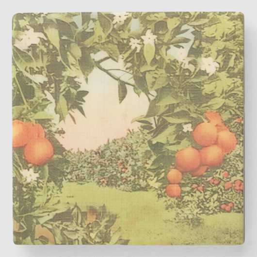Vintage Orangenhain Steinuntersetzer (Vorderseite)