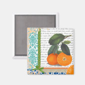 Vintage Orangenkollage Magnet (Vorderseite/Rückseite)