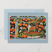 Vintage Orangenshow Expo San Bernardino Postkarte (Vorne/Hinten)