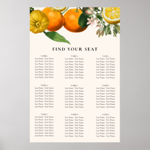Vintage Orangenzitrus Botanische Hochzeitssitze Poster