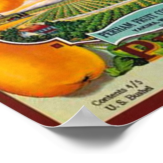 Vintage Orchard Birnen Poster (Ecke)