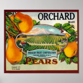 Vintage Orchard Birnen Poster (Vorne)