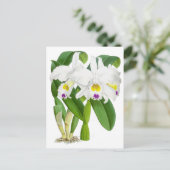 Vintage Orchid-Blume Postkarte (Stehend Vorderseite)