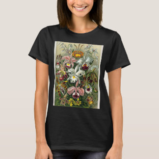Vintage Orchideen-Blume Abbildung 1904 T-Shirt
